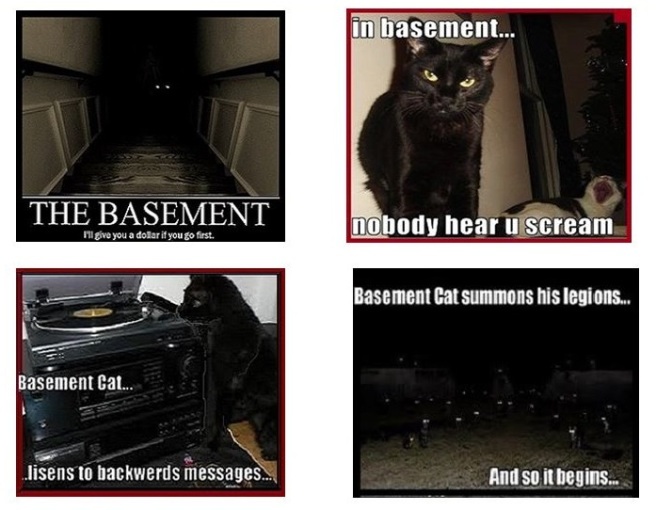 Basement Cat middle four