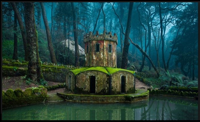 Sintra Portugal-in the forest alt view