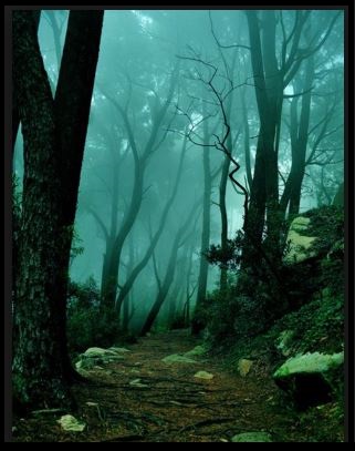 Sintra Portugal-the path